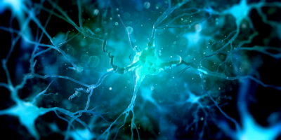 Neurons in the brain on dark background (3d illustration)